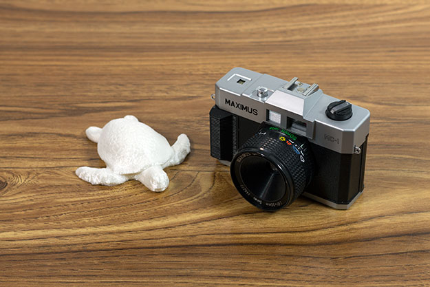 turtle and camera comparison