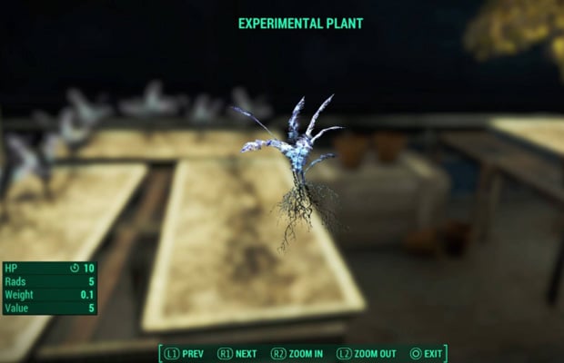 Experimental Plant in Fallout 4