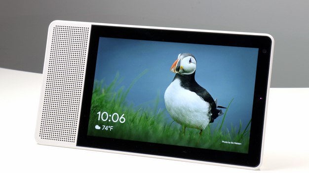 Puffin picture Lenovo Smart Display