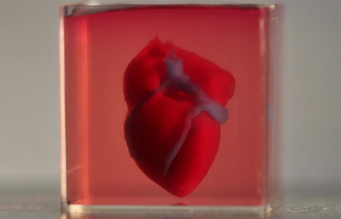3D Printed Heart