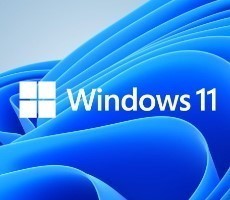 Windows Who? 62 Percent Of Americans Have No Clue That Windows 11 Exists