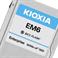 Kioxia's Gaming-Changing Ethernet-Connected SSDs: What They Are And What They Can Do