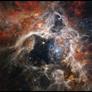 NASA Space Telescope's Stellar Image Of Tarantula Nebula Will Blow You Away