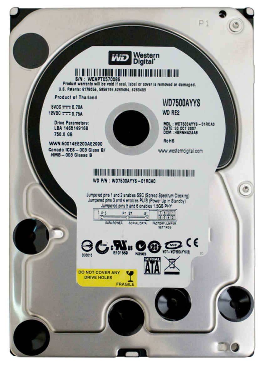 Western Digital Caviar RE2 750 GB 