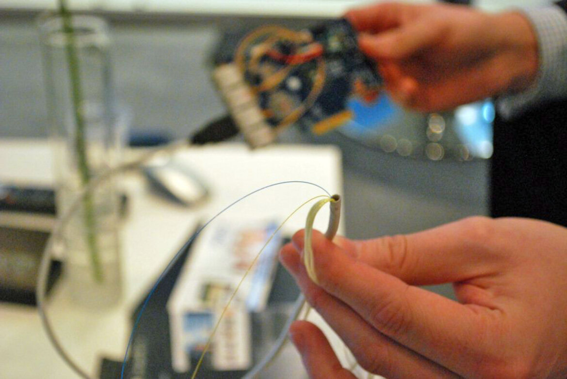 CES 2010 Highlight Wrap-Up In Pictures and Video