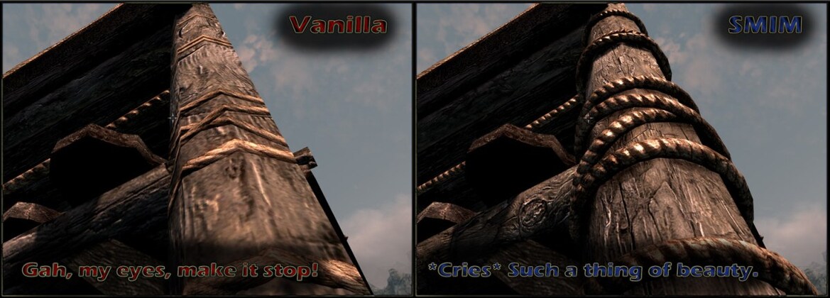 The Must-Have Mods of Skyrim 