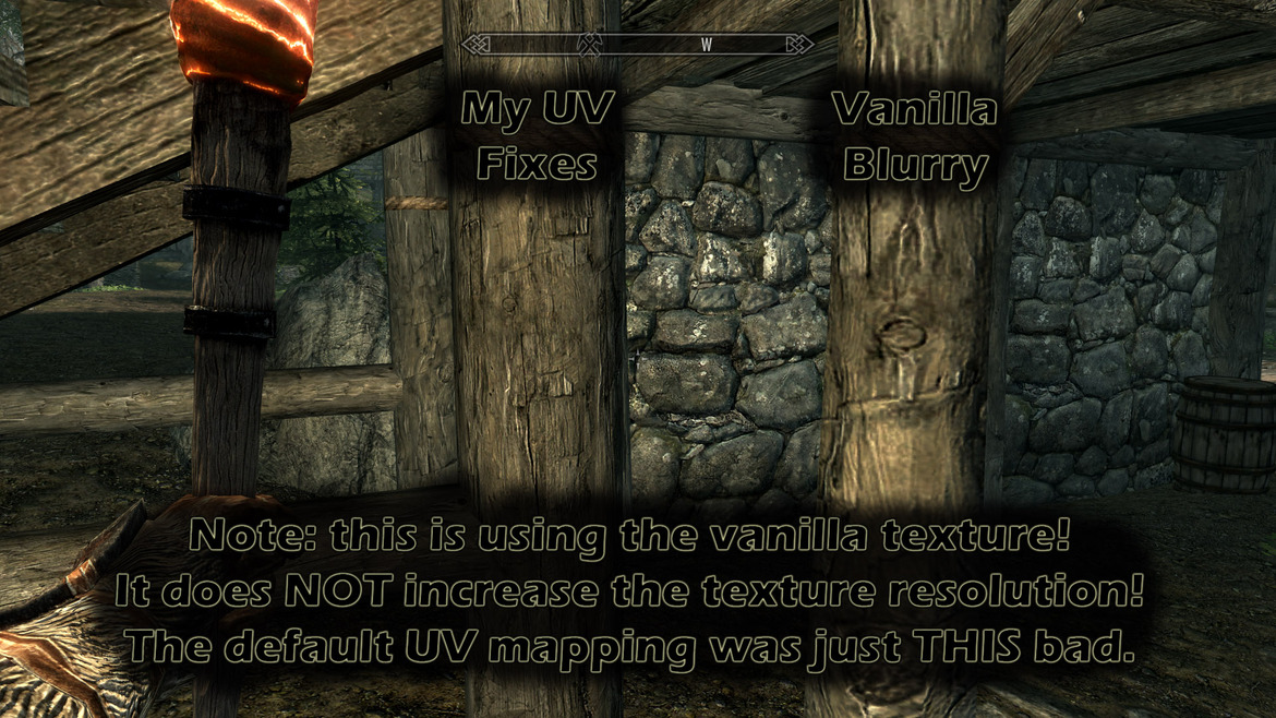 The Must-Have Mods of Skyrim 