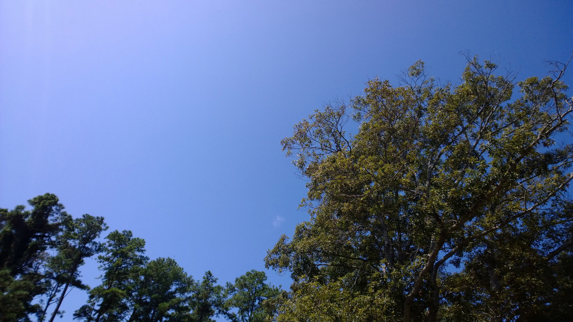 Nokia Lumia 1020 Smartphone Review