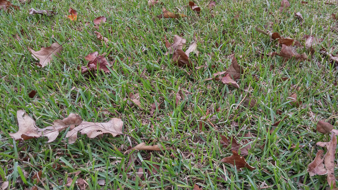 LG G2 Smartphone Review: Snapdragon 800 Powered