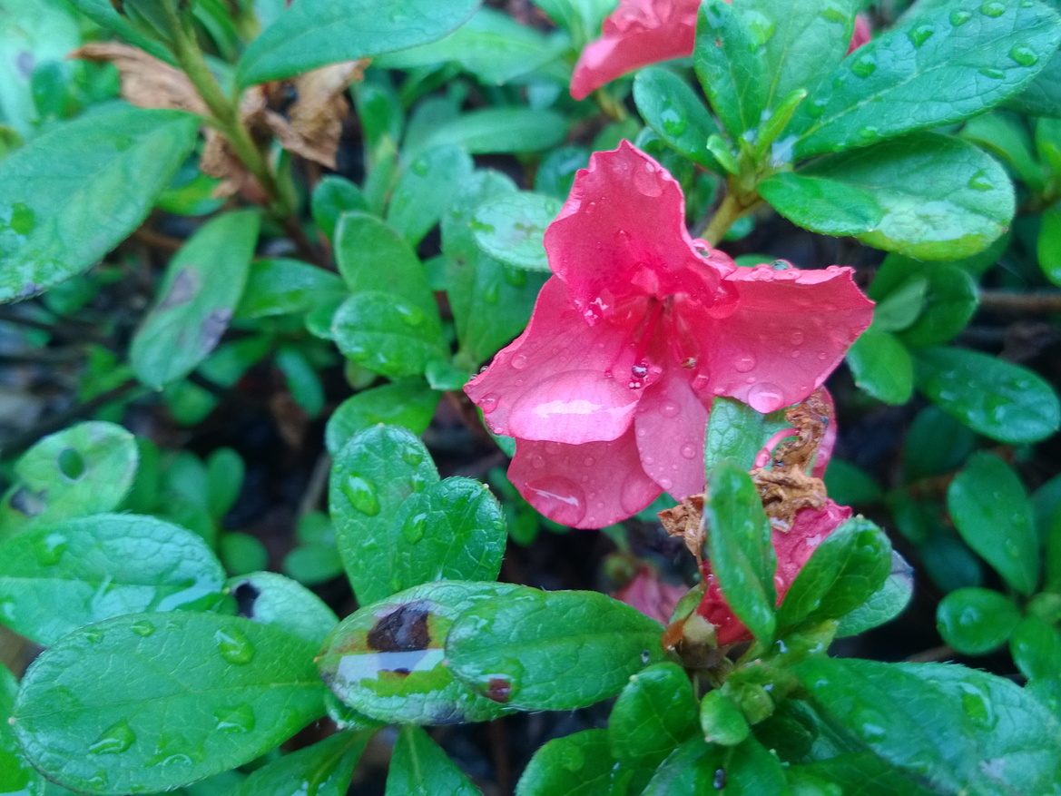Nokia Lumia 925 Smartphone Review