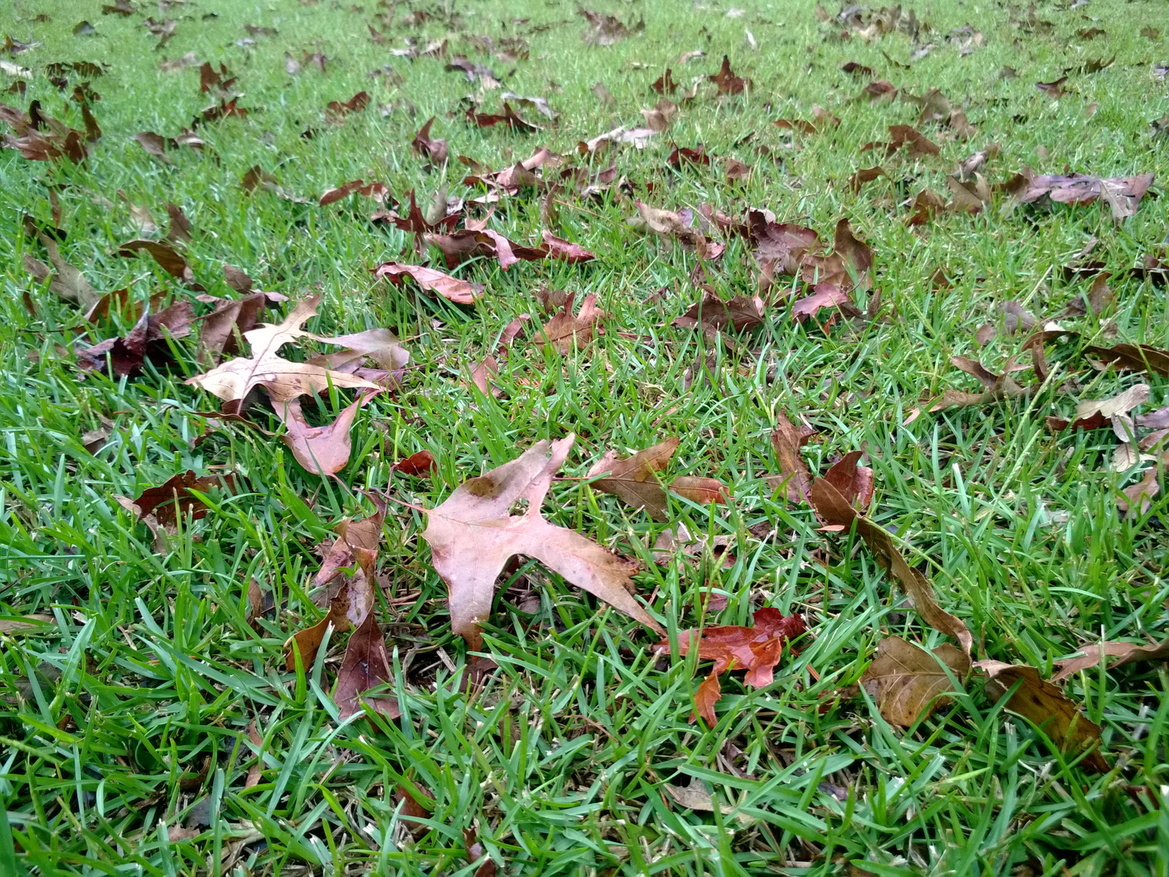 Nokia Lumia 925 Smartphone Review
