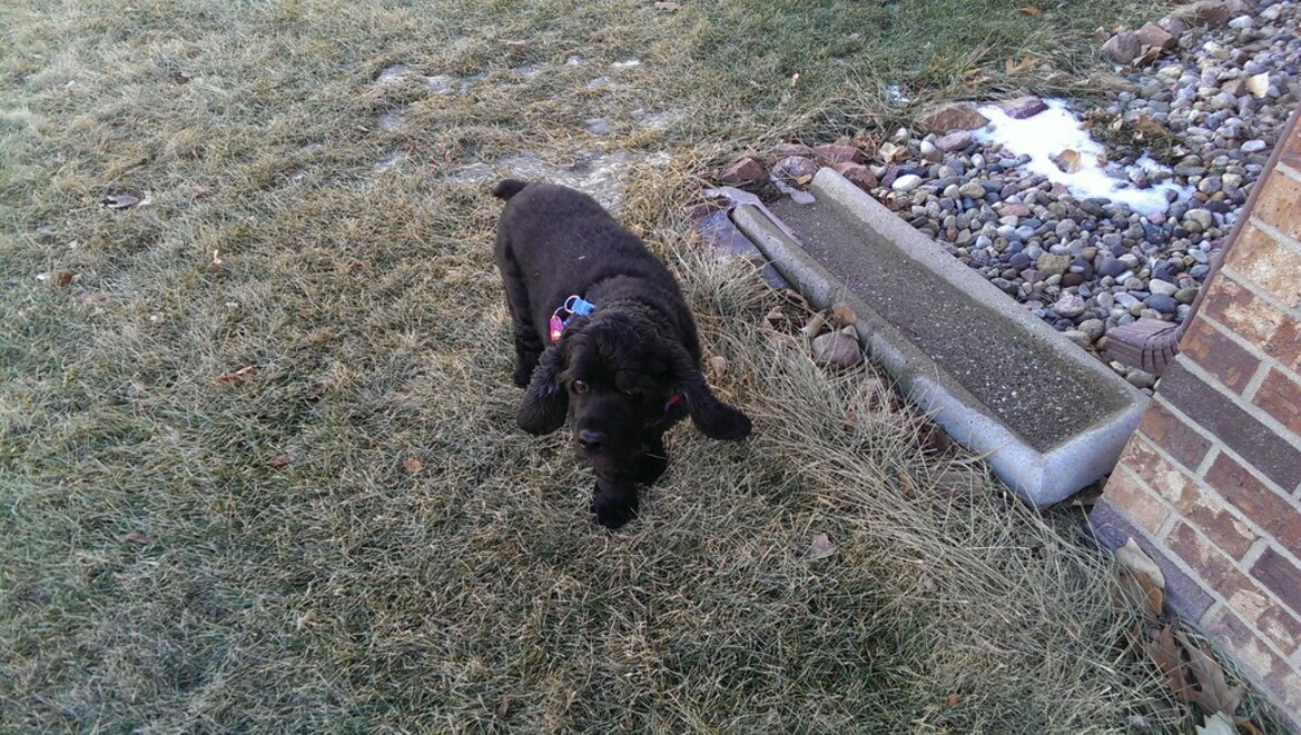 HTC One Max 6-Inch Android Smartphone Review