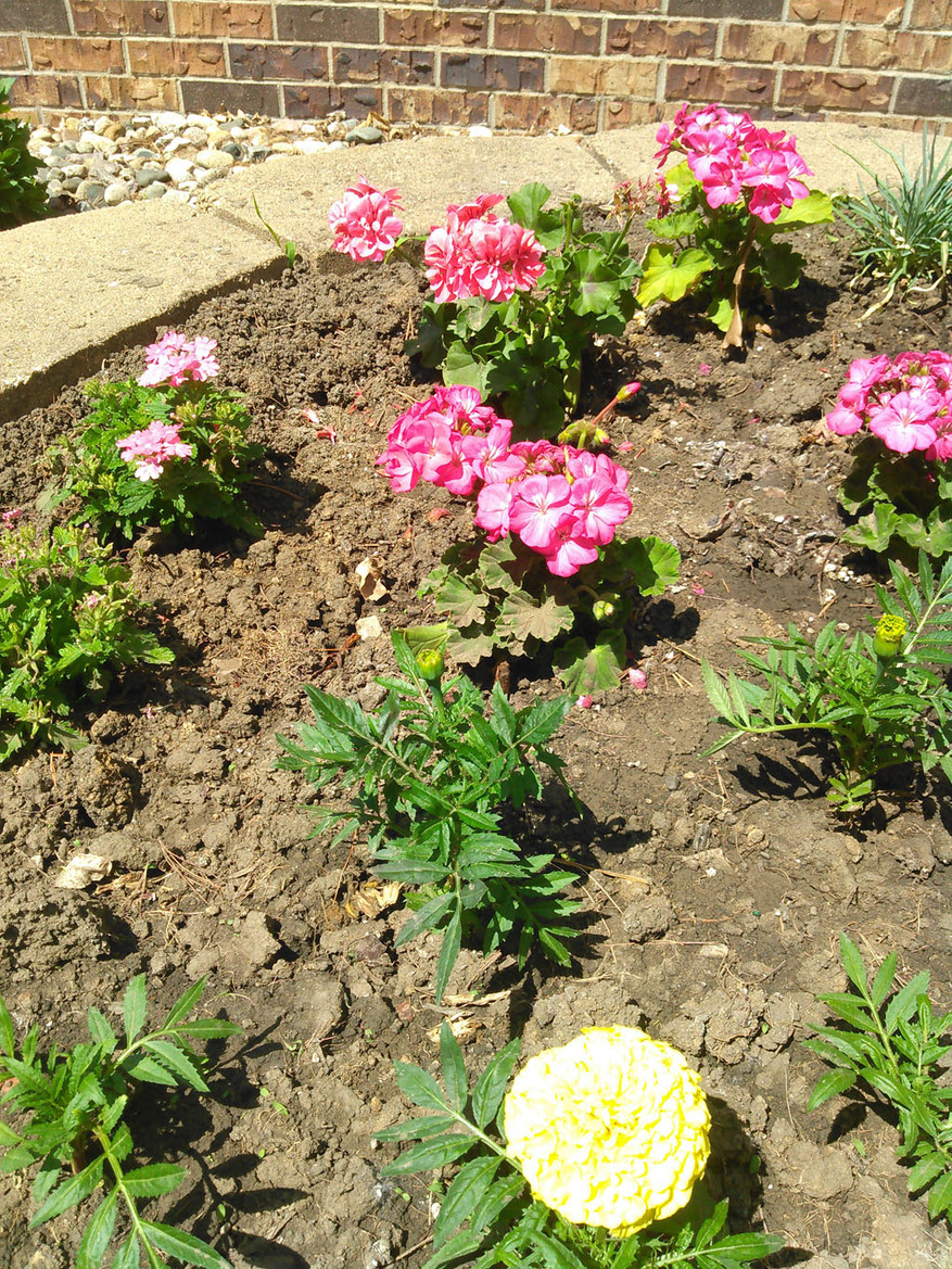 Kyocera Hydro Vibe Waterproof Smartphone Review