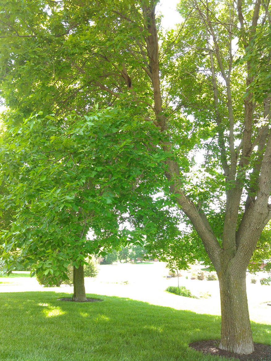 Kyocera Hydro Vibe Waterproof Smartphone Review