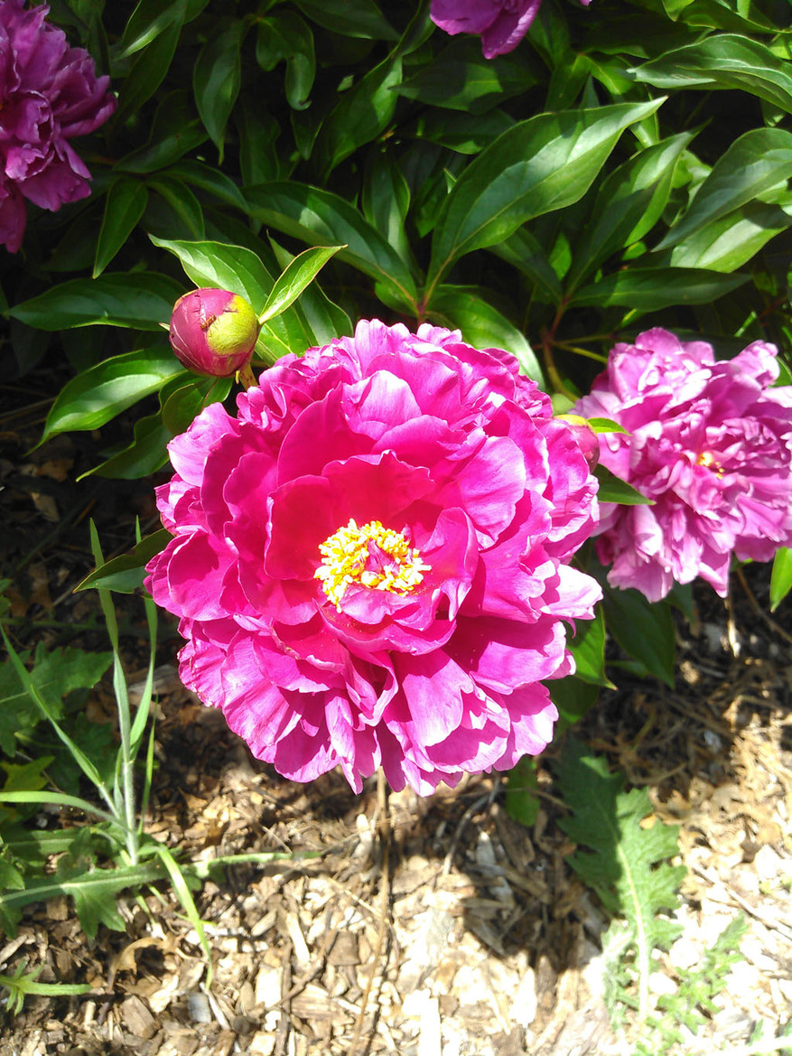 Kyocera Hydro Vibe Waterproof Smartphone Review