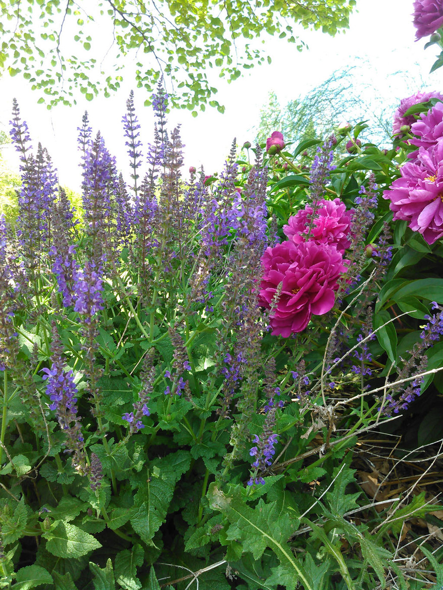 Kyocera Hydro Vibe Waterproof Smartphone Review