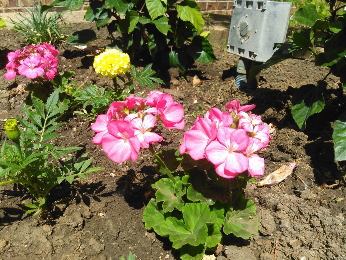 Kyocera Hydro Vibe Waterproof Smartphone Review