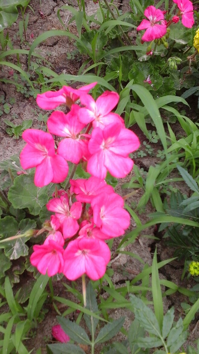 Samsung Galaxy Tab 4 8.0 Review