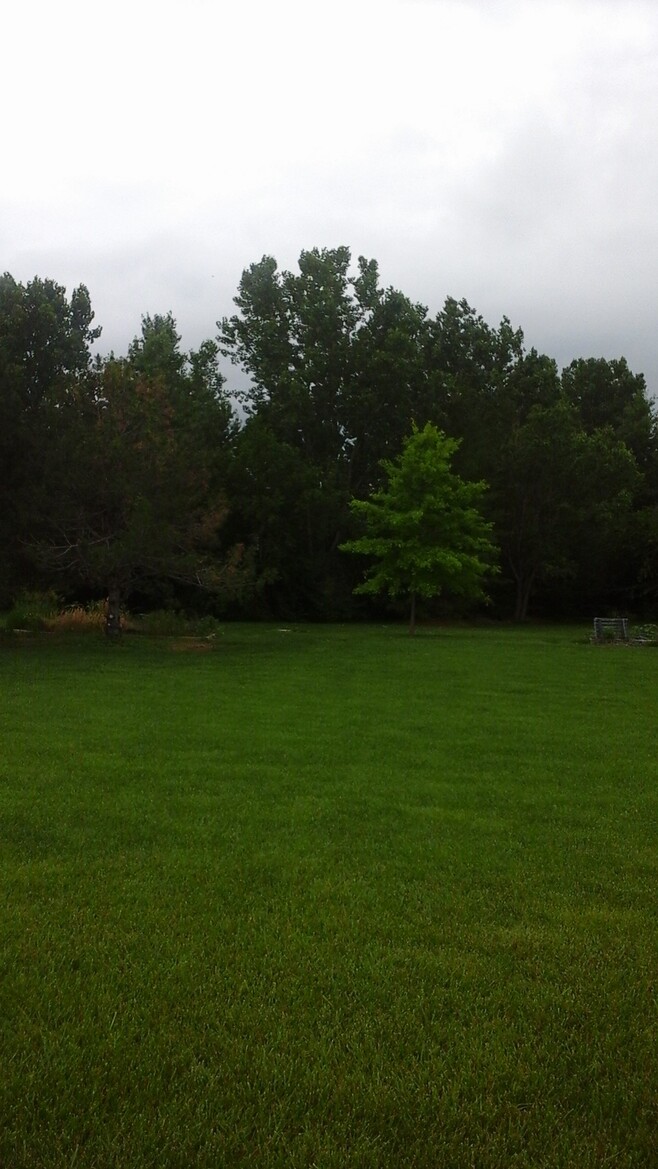 Samsung Galaxy Tab 4 8.0 Review