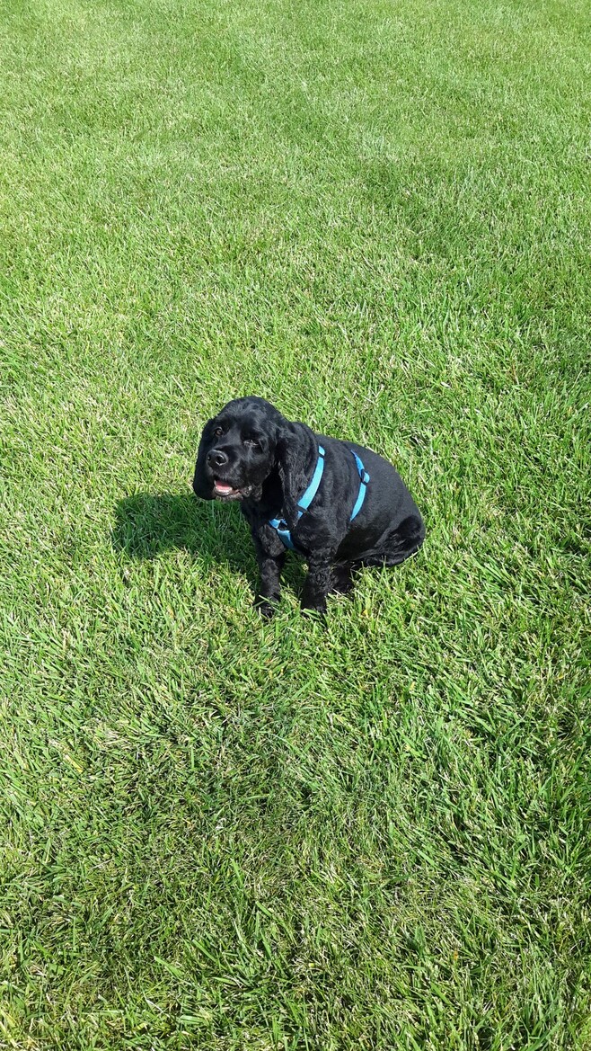 Samsung Galaxy Tab S Review, Top Shelf Android