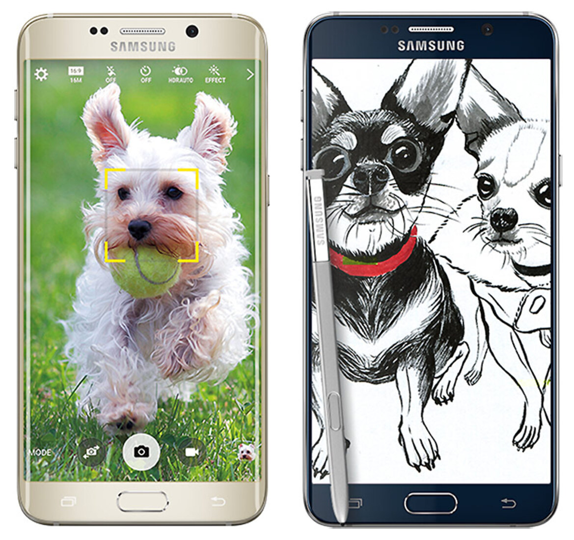 Samsung Galaxy Note5 And Galaxy S6 Edge+ Review: More Of A Good Thing