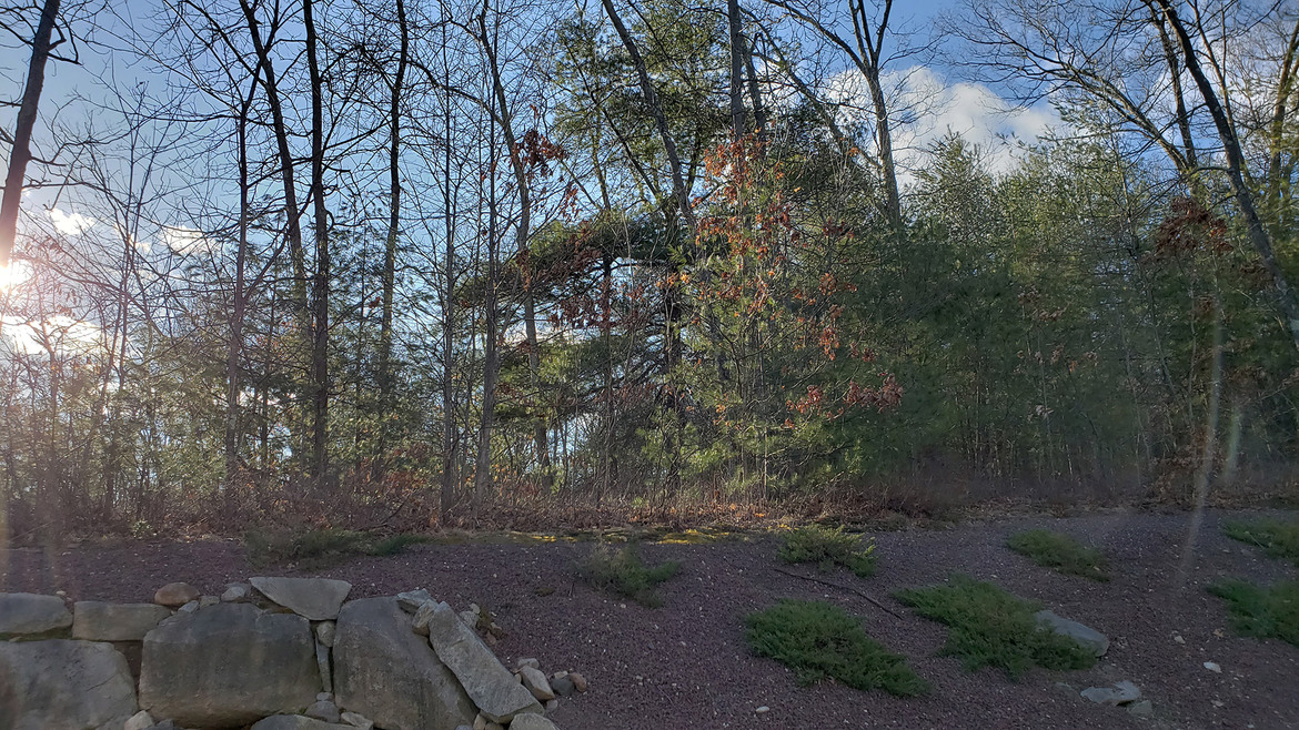 Samsung Galaxy S9+ Review: Fantastic And Fast With A Killer Camera