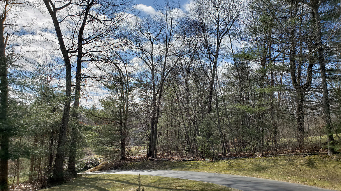 Samsung Galaxy S9+ Review: Fantastic And Fast With A Killer Camera