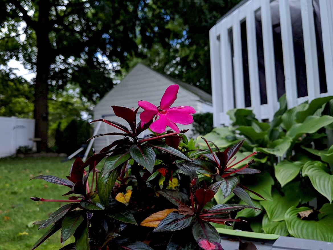 Google Pixel 3 And Pixel 3 XL Review: Killer Camera, Android Refined