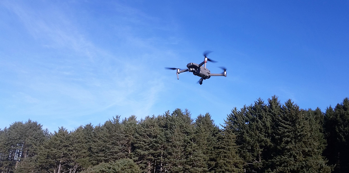 DJI Mavic 2 Zoom Review: An Eagle-Eyed Aerial Ace
