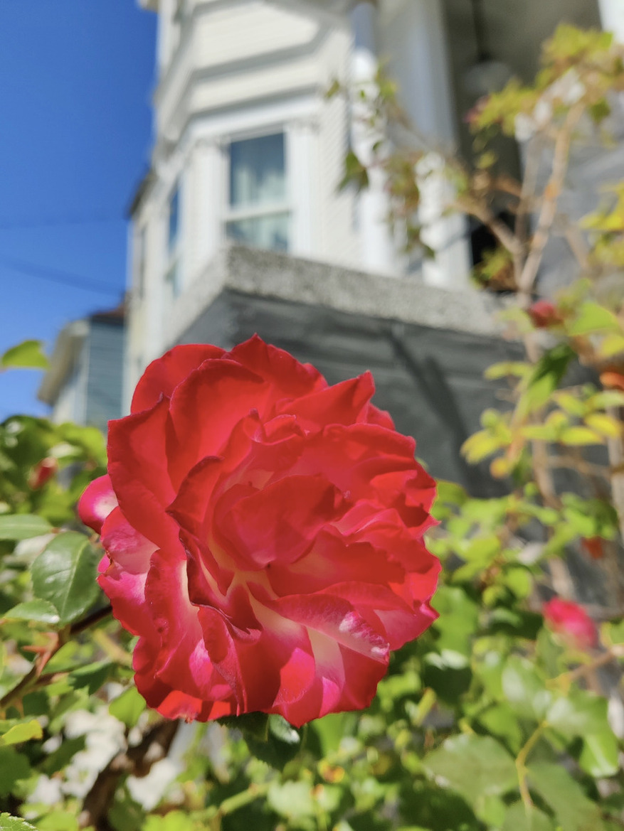 OnePlus Nord Review: Excellent 5G Android Phone, Great Value