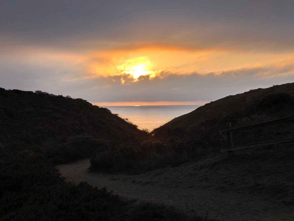 LG Wing Review: A Solid 5G Phone With A Wild Twist