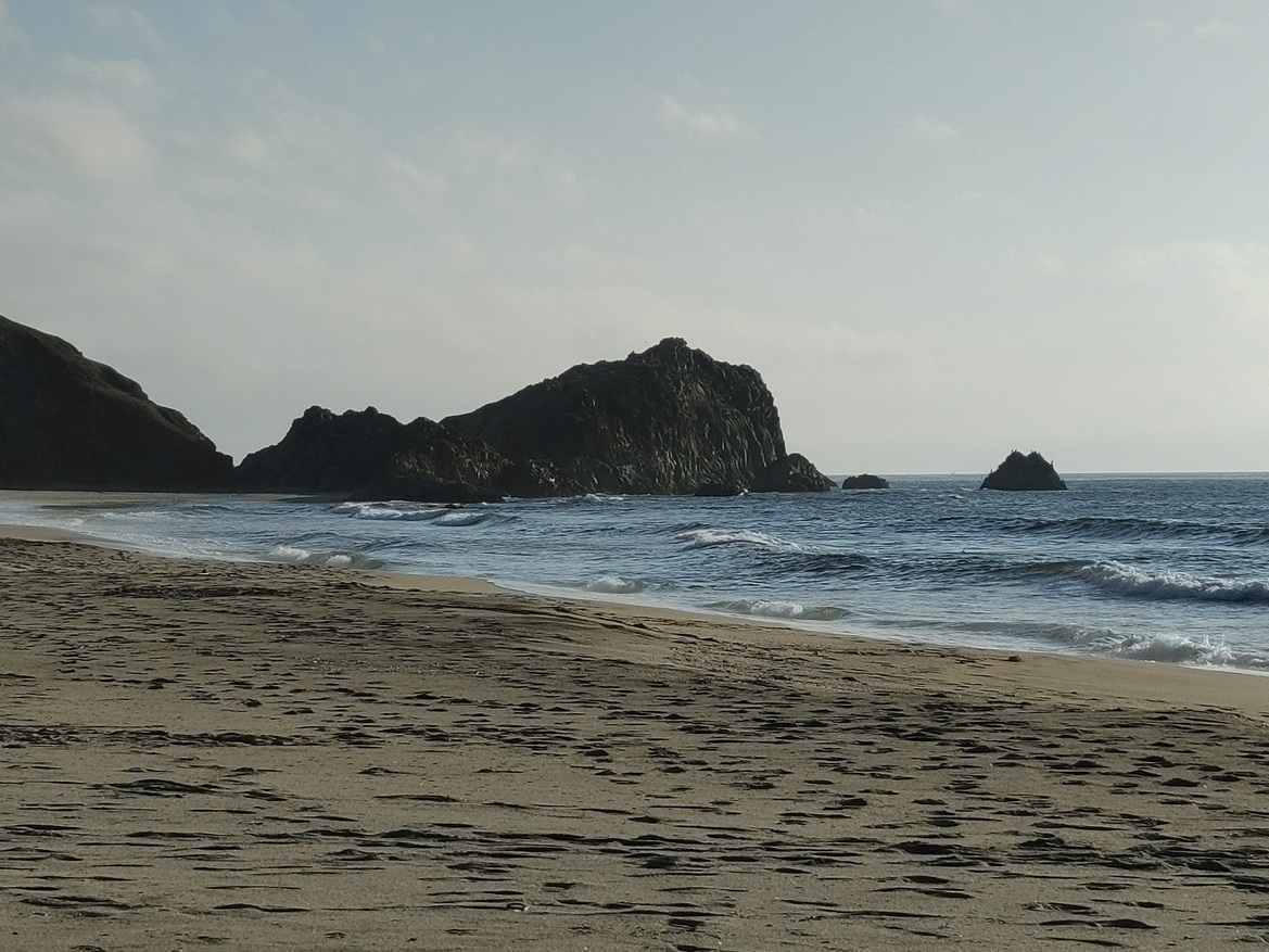 LG Wing Review: A Solid 5G Phone With A Wild Twist