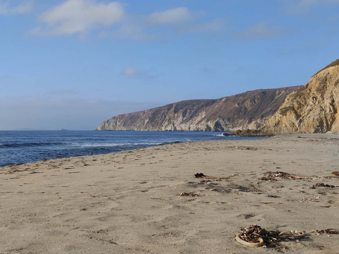 LG Wing Review: A Solid 5G Phone With A Wild Twist