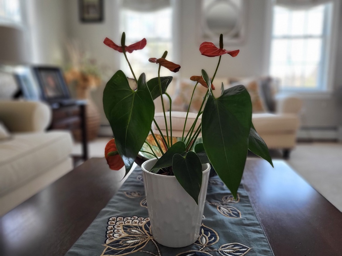 Samsung Galaxy S21 FE Review: Full-Featured Yet Affordable