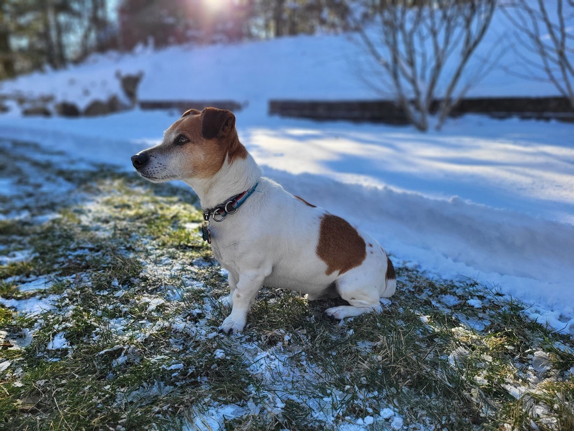 Samsung Galaxy S21 FE Review: Full-Featured Yet Affordable