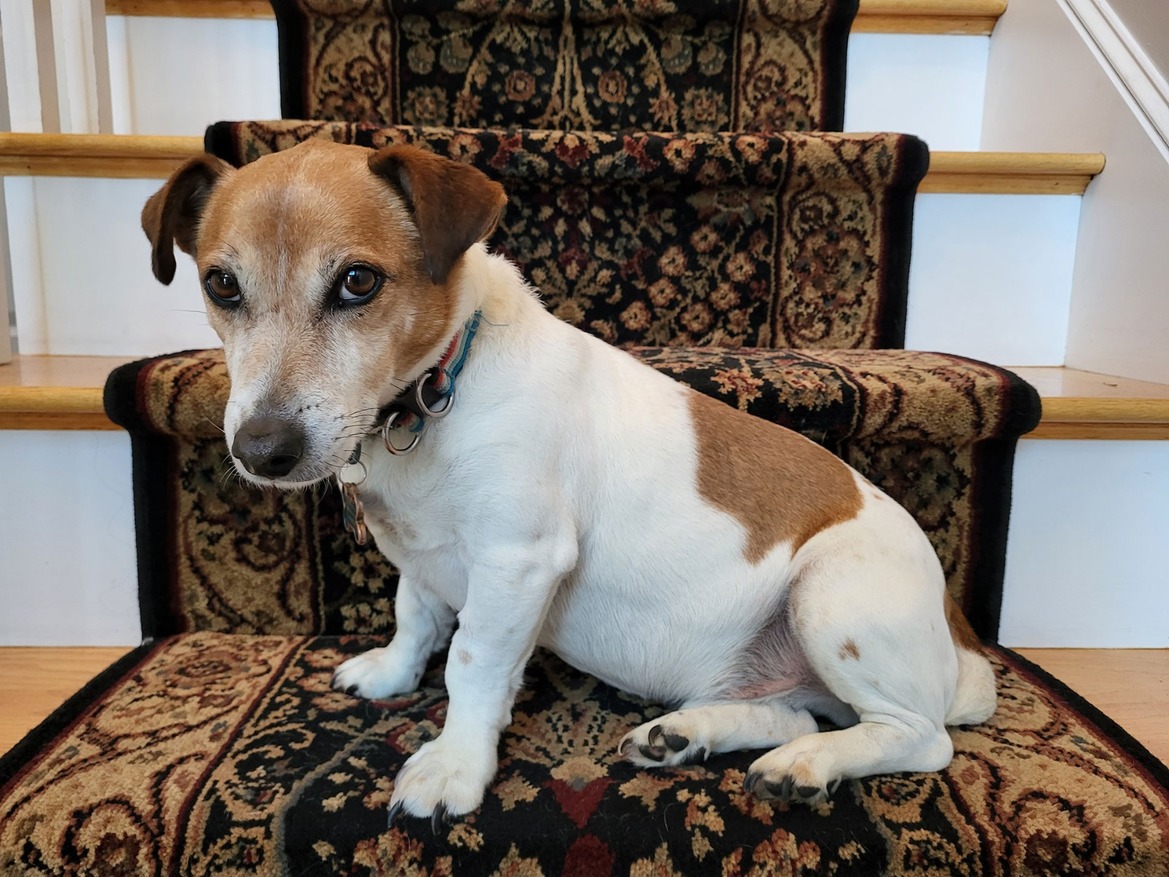 Samsung Galaxy S21 FE Review: Full-Featured Yet Affordable