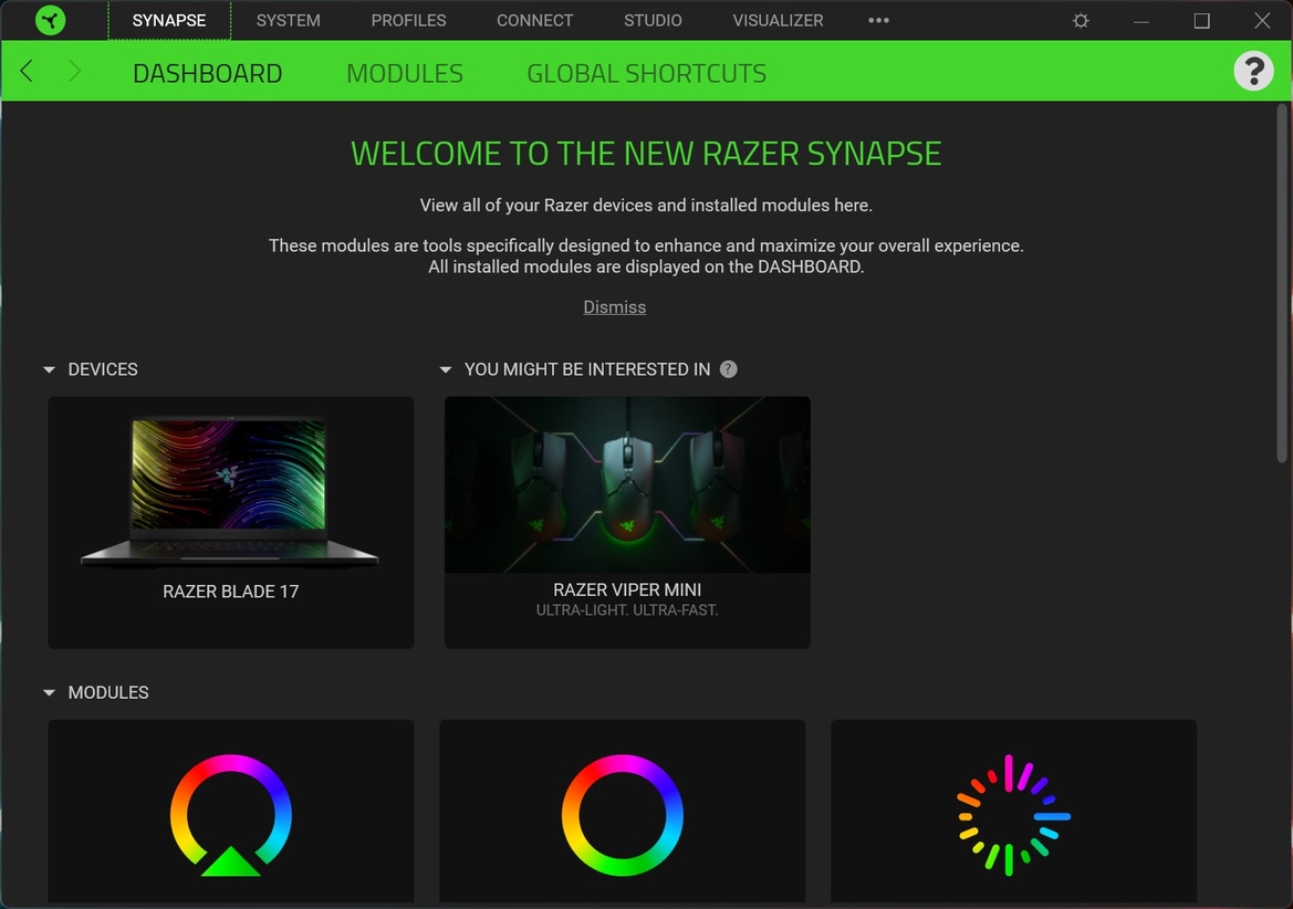 Razer Blade 17 Review: A Slim RTX 3080 Ti Mobile Gaming Weapon