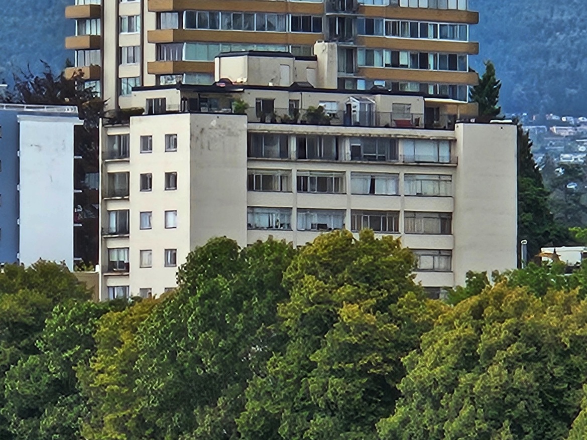 Samsung Galaxy Z Flip5 And Z Fold5 Review: The Folding Phones To Beat