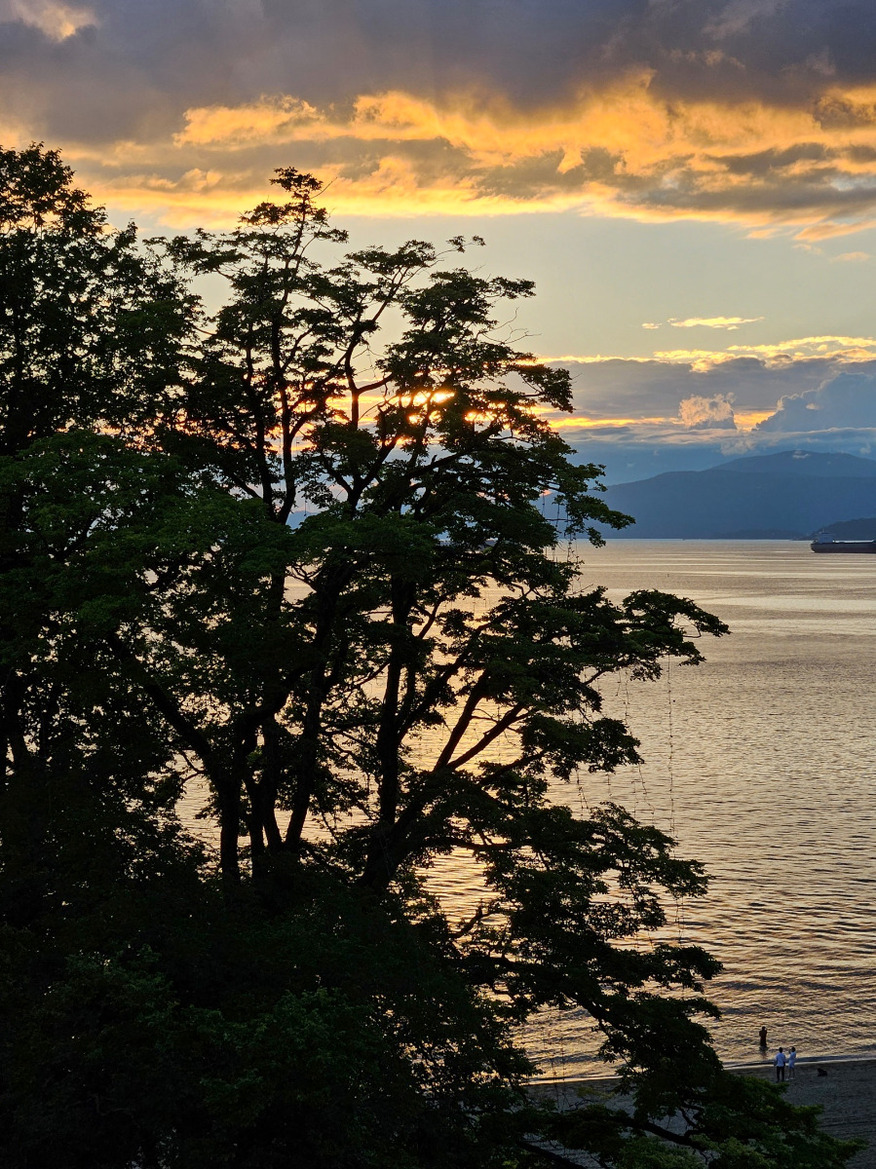 Samsung Galaxy Z Flip5 And Z Fold5 Review: The Folding Phones To Beat