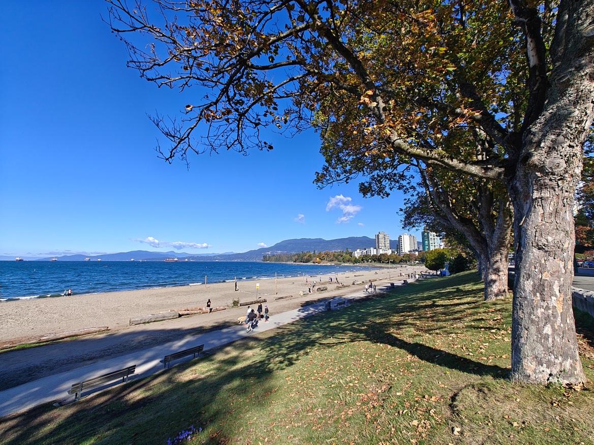 OnePlus Open Review: This Folding Phone Puts All Others On Notice