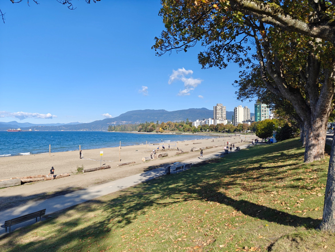 OnePlus Open Review: This Folding Phone Puts All Others On Notice