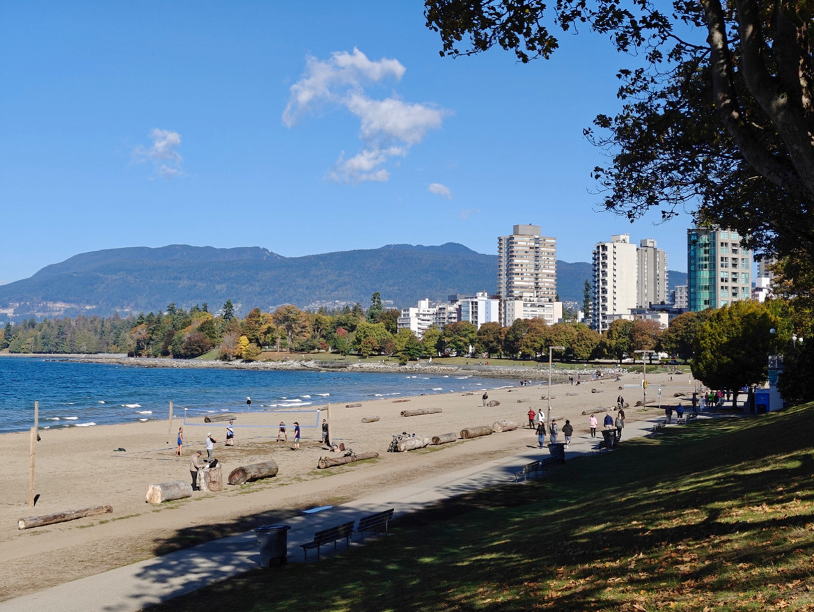 OnePlus Open Review: This Folding Phone Puts All Others On Notice