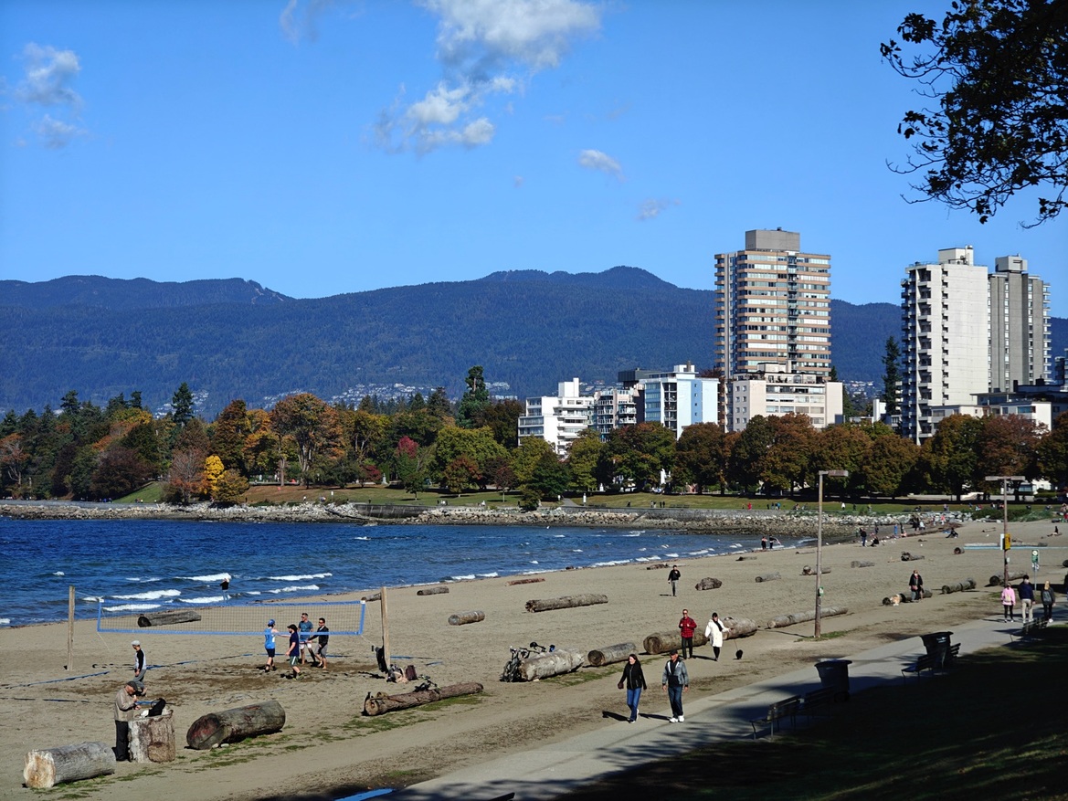 OnePlus Open Review: This Folding Phone Puts All Others On Notice