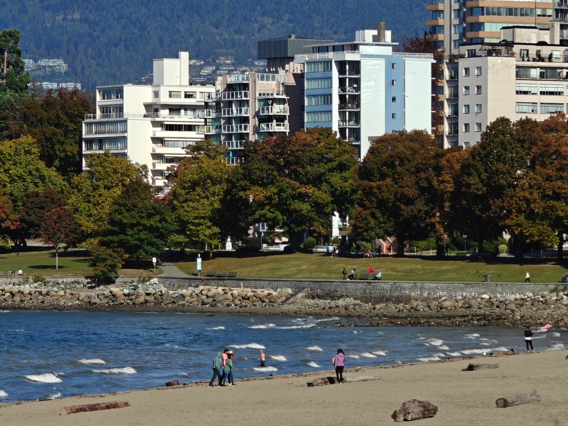 OnePlus Open Review: This Folding Phone Puts All Others On Notice