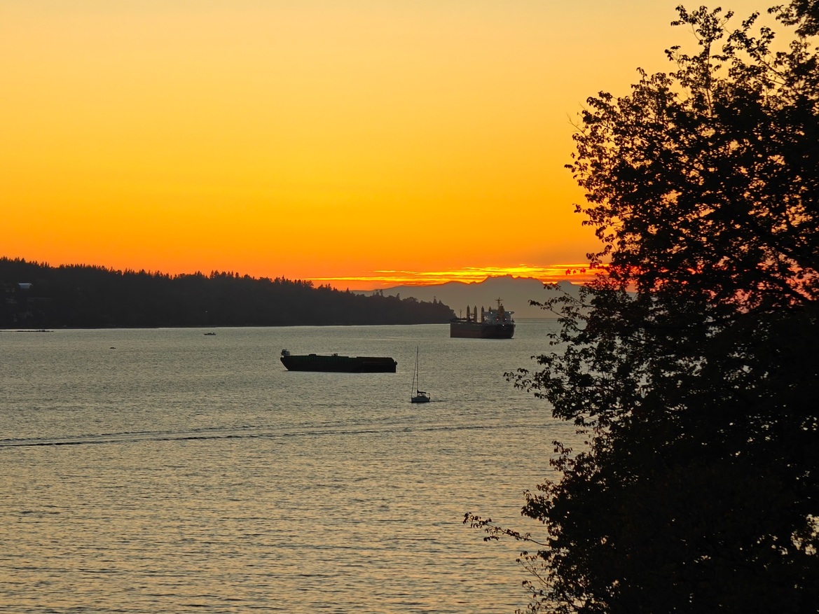 OnePlus Open Review: This Folding Phone Puts All Others On Notice