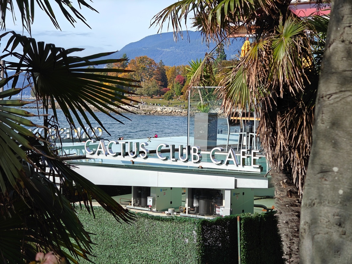 OnePlus Open Review: This Folding Phone Puts All Others On Notice