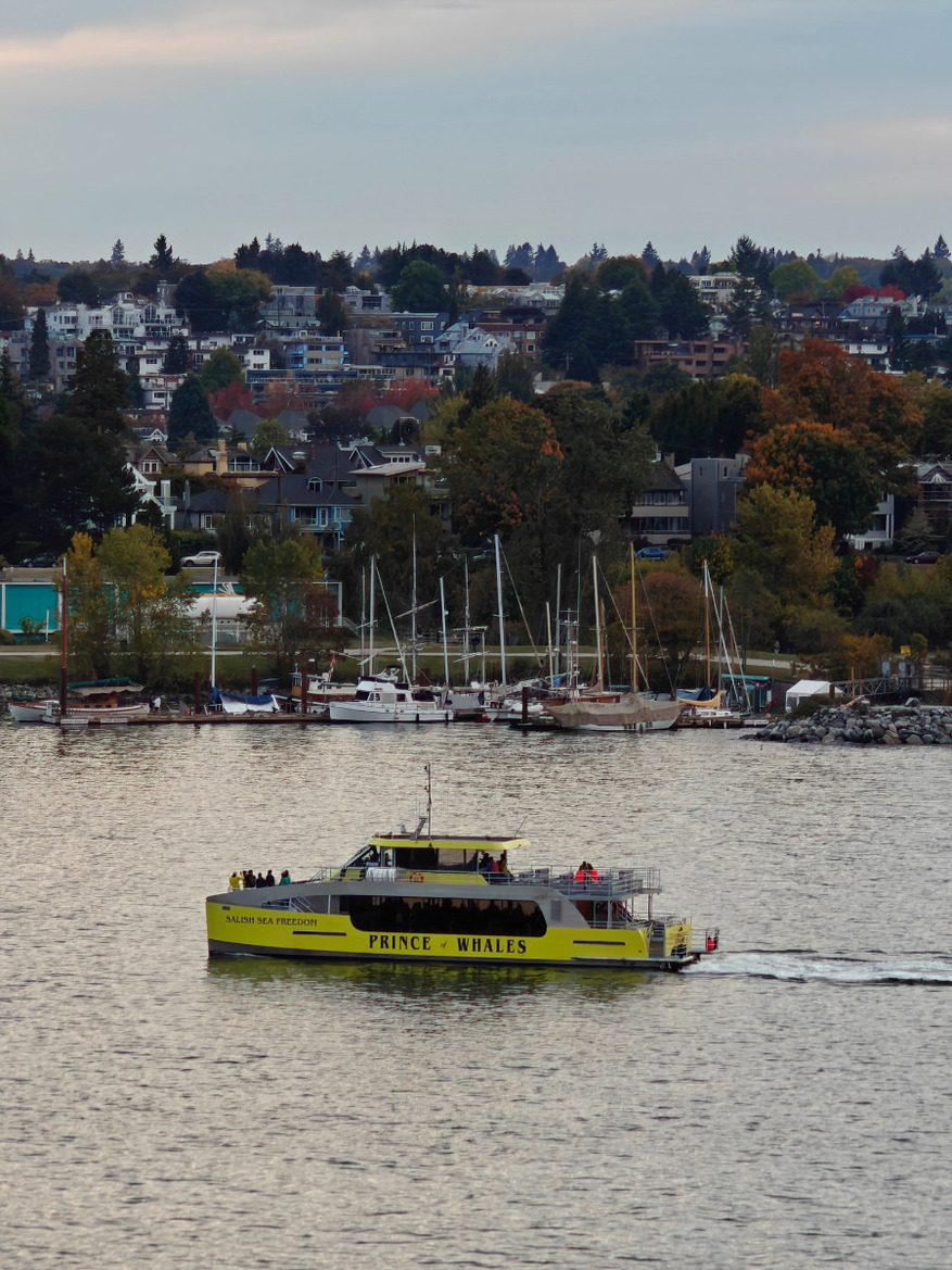 OnePlus Open Review: This Folding Phone Puts All Others On Notice