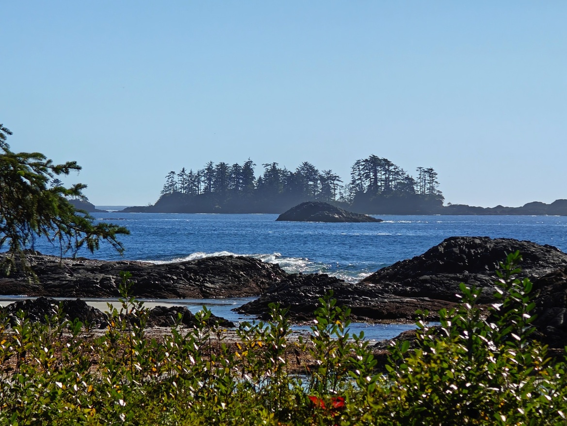 OnePlus Open Review: This Folding Phone Puts All Others On Notice