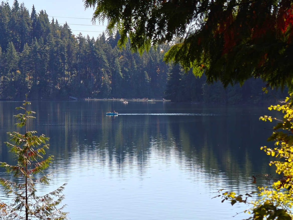 OnePlus Open Review: This Folding Phone Puts All Others On Notice