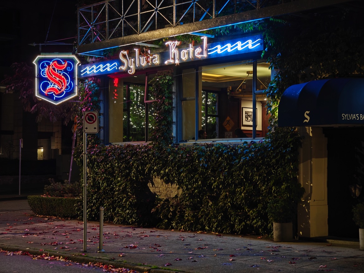 OnePlus Open Review: This Folding Phone Puts All Others On Notice